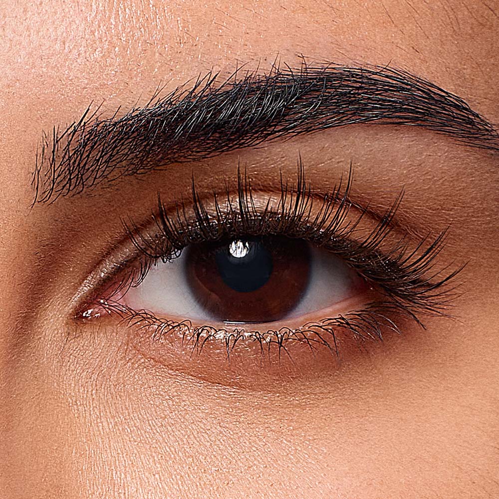 VeraLash - All-in-One Box